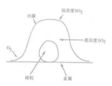 腐蝕[詞語概念]