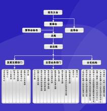 新松公司組織機構