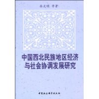 中國西北民族地區經濟與社會協調發展研究