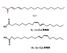 共軛亞油酸分子式