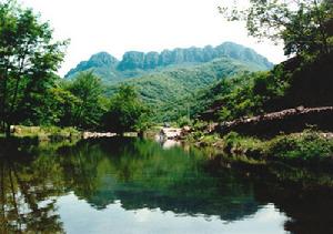 平頂山森林公園