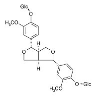 松酯醇二葡萄糖苷