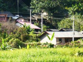 田頭自然村[雲南紅河河口縣瑤山鄉太陽寨村委田頭自然村]