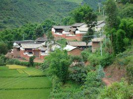 鎮東村[雲南省保山市龍陵縣鎮安鎮鎮東村]