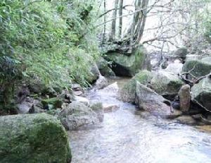 藍山國家森林公園