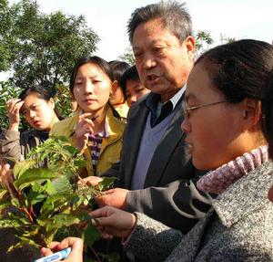 濰坊科技職業學院