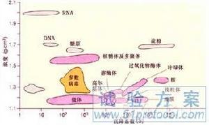 細胞器沉降係數