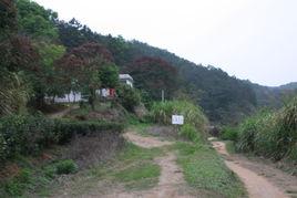 梅子村[雲南省昆明市東川區銅都街道下轄村]