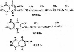 維生素K 維生素K