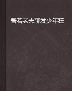 吾若老夫聊發少年狂