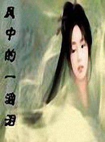 風中的一滴淚[秋憶秋至創作網路穿越小說]