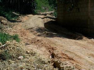 賣糖自然村村內道路