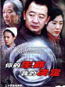 你的生命，我的決定[2007年大陸上映的都市生活劇]