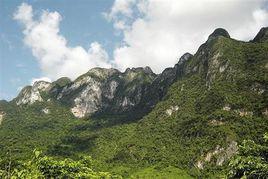 九龍山[湖北省麻城市九龍山]