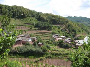 大龍潭下村