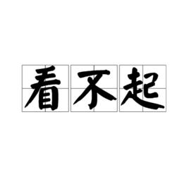 看不起[漢語詞語]