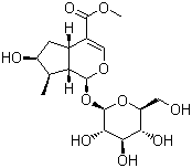 馬錢苷