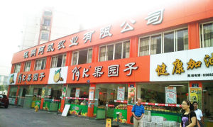 陽光店