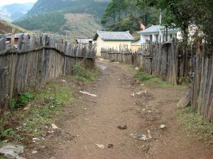 進村道路