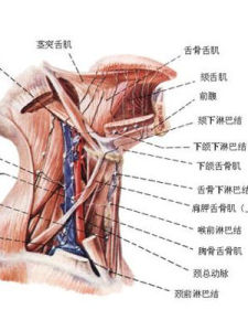 慢性淋巴結炎