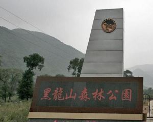 黑龍山國家森林公園