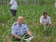 王武強[天津市薊州區司法局出頭嶺司法所原所長]