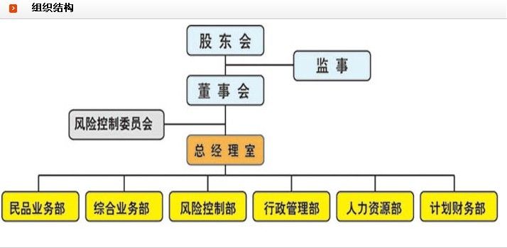 公司組織結構圖