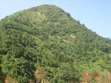 大山自然村[雲南臨滄臨翔區忙畔街道辦丙簡村大山自然村]