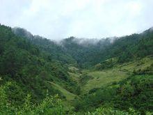 大板場村高山草甸