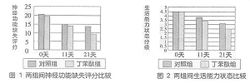 丁苯酞軟膠囊