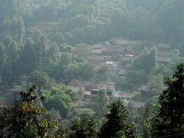 大坪子村[雲南省祿勸縣烏東德鎮下轄村]