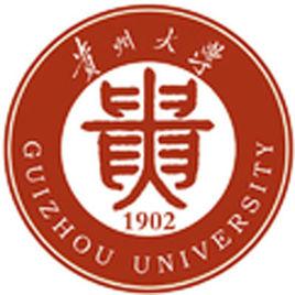 貴州大學藝術學院音樂系