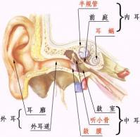 急性乳突炎