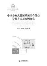 中國分散式能源系統綜合效益分析方法及案例研究