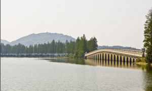 磨山區落羽橋