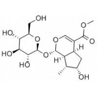 馬錢子苷的分子式