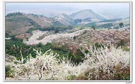 麒麟山[廣東省肇慶市封開縣麒麟山]