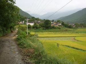 巨甸鎮武侯村委會橋邊村村莊一角