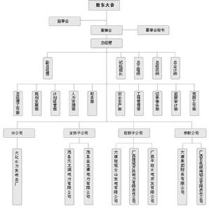 廣西桂冠電力股份公司