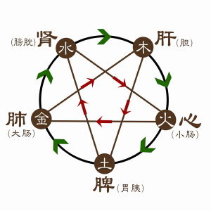 人體五臟與“五行”-人體五行