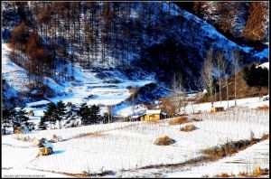 集安丸都山城