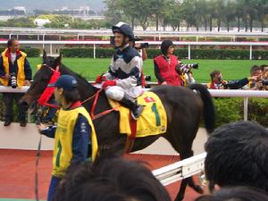 騏彩在2007年香港短途錦標跑回第二