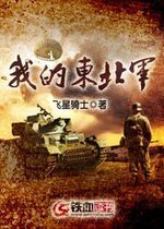 我的東北軍