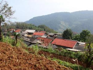 焦山大寨自然村