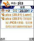 PICA[喜鵲的拉丁文名稱]