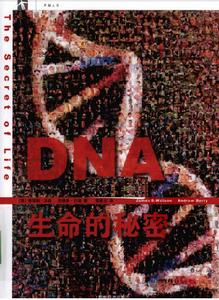 DNA 生命的秘密