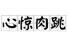 心驚肉跳[漢語成語]