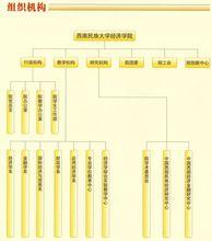 西南民族大學經濟學院組織機構