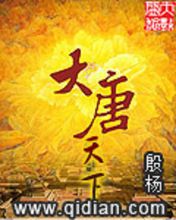 網路小說《大唐天下》圖書封面