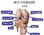 膝關節退行性病變